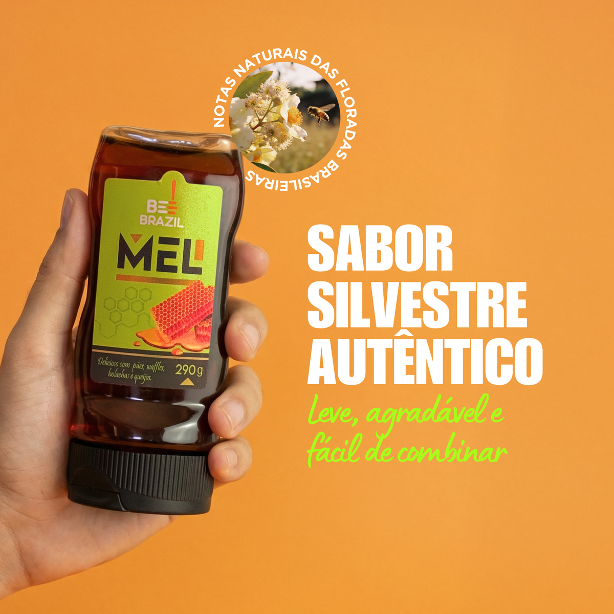 Mel Silvestre
