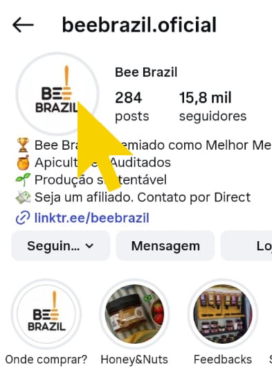 VIP BOX Bee Brazil